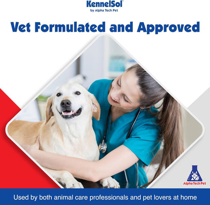 1-Step Kennel Cleaner - EPA Registered Liquid Concentrate Disinfectant and Deodorizer, Effective Against Bacteria and Viruses - 5 Gallons by Alpha Tech Pet