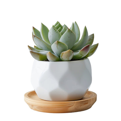 Vibt Modern Geometric Ceramic Planter Pot with Bamboo Saucer - Desktop Succulent Container
