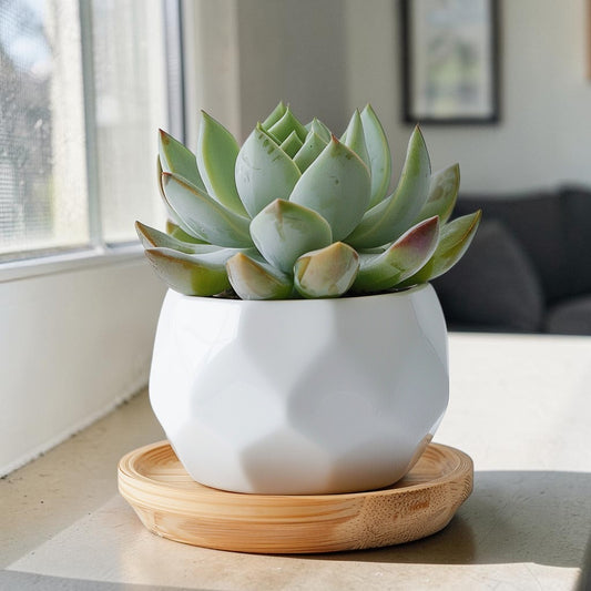 Vibt Modern Geometric Ceramic Planter Pot with Bamboo Saucer - Desktop Succulent Container