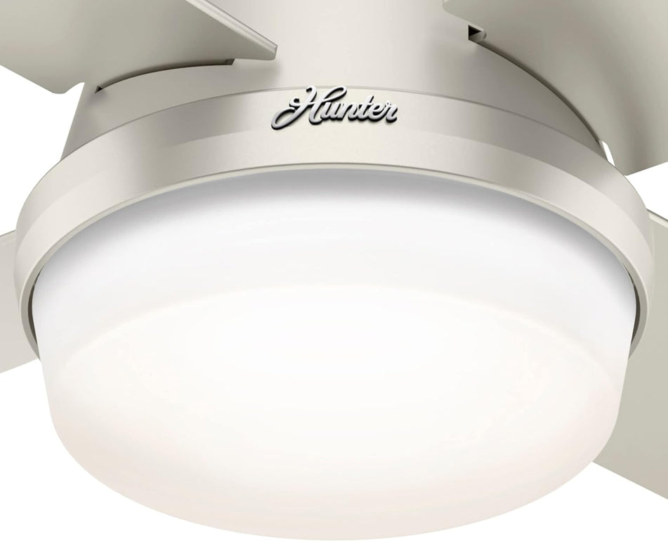 Hunter Fan Company Dempsey Low Profile Indoor / Outdoor Ceiling Fan with LED Light and Remote Control, 44", Matte Nickel